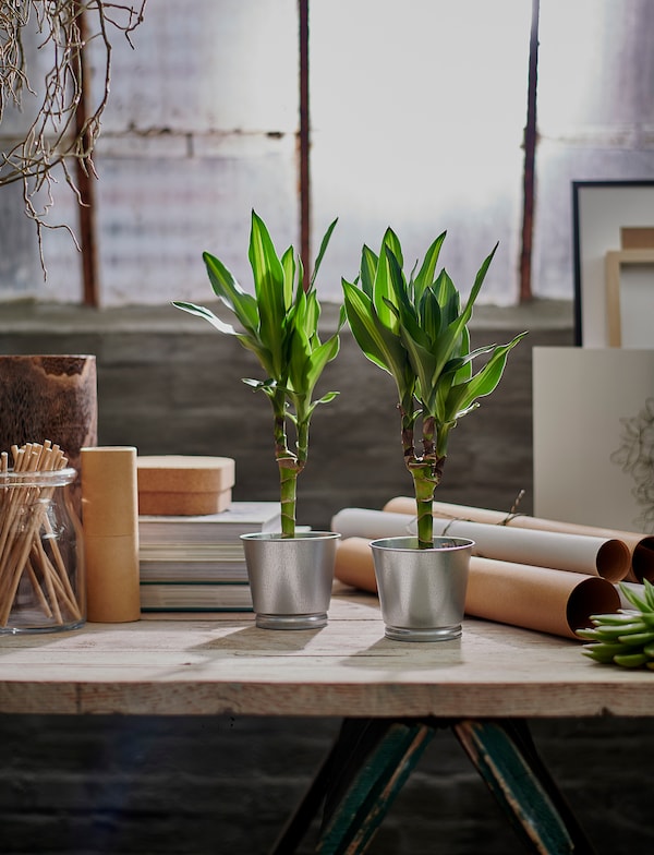 Plant pot, galvanised, 9 cm (3 ½ ")