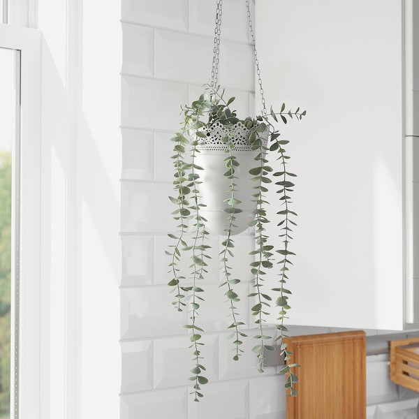 Artificial potted plant, in/outdoor hanging/eucalyptus, 9 cm (3 ½ ")