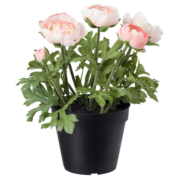 Artificial potted plant, in/outdoor/Ranunculus pink, 12 cm (4 ¾ ")