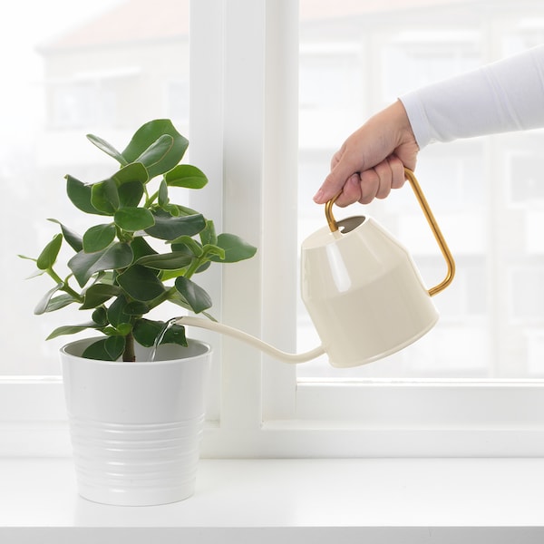 Watering can, ivory/gold-colour, 0.9 l (30 oz)